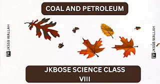Coal and Petroleum class 8th science chapter 2 JKBOSE solution NCERT Coal and Petroleum class 8th science chapter 2 JKBOSE solution NCERT