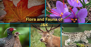 Mcqs on flora and fauna of jammu and kashmir