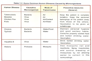 "Microorganisms: Friend and Foe,"JKBOSE class 8th science chapter 1