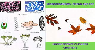 Microorganisms: Friend and Foe,”JKBOSE class 8th science chapter 1, NCERT solutions and overview