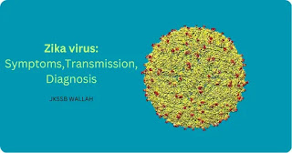 Zika virus outbreak in India