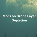 ozone layer depletion